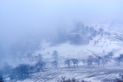 zahmlená krajina