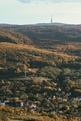 kamzík