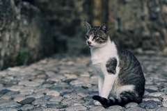 m.