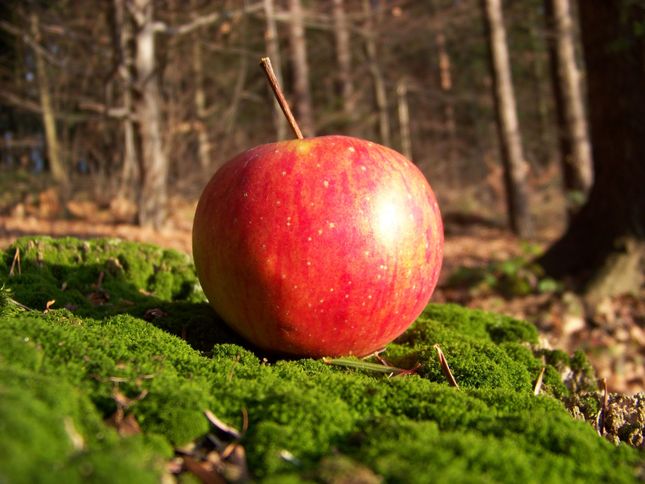 jablko II