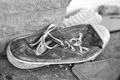 Bota