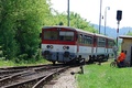 Šľachtičná