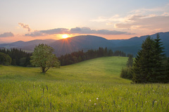 na Lesňanských lúkach