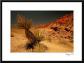 Red Rock Canyon