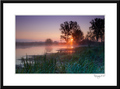 Dawn