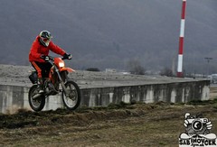 z albumu Sport