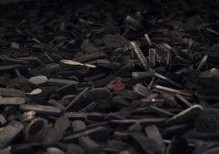 Potreby na upravu vlasov