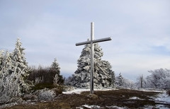 1345 m   n.m.