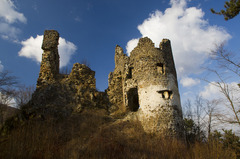 Veža
