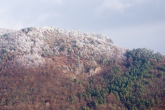 Ústup mrazu