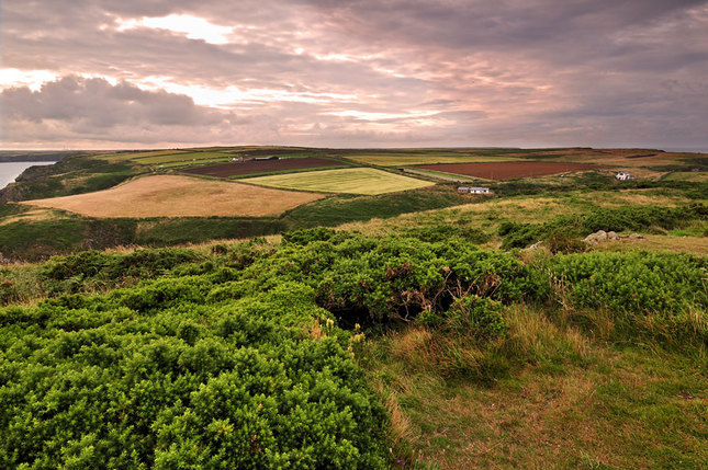 Wales 