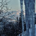 Cencúle a Vysoké Tatry