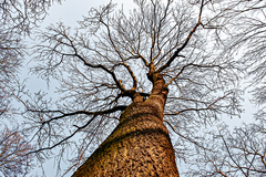 Park v Michalovciach