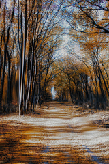 Tunel