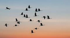 Šťastnú cestu prajem