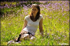 Relax v bluebells