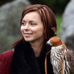 sokoliarka