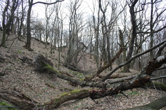 Pred hradom