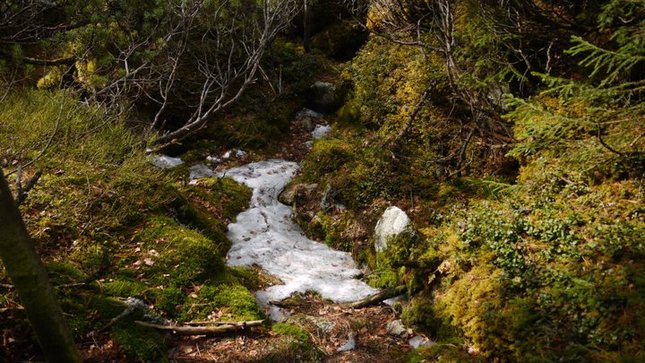 posledný sniežik ...