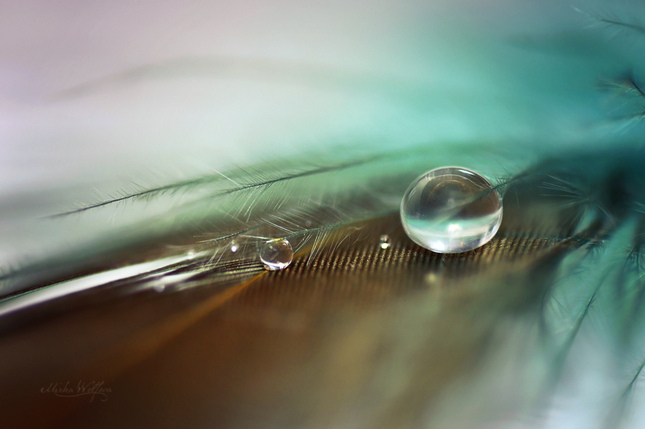 Drops