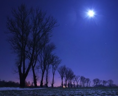 Prejtskí strážcovia