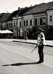 Tieňový orgán