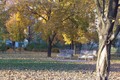 park