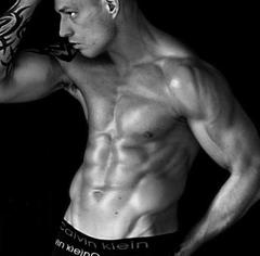 muscle