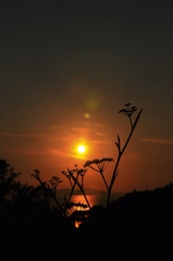 západ slnka v Tučepi