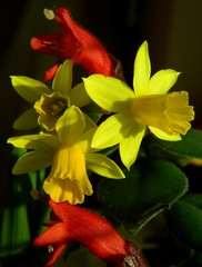 v jarnom slniečku...