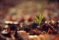 v marcovom slniečku...