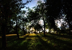 leto u starej mamy...