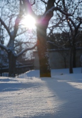 snow