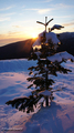 Sunset on Seymour Mountain