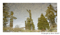 Totem Poles at Stanley Park