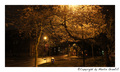 Quiet Night  Street with Biker