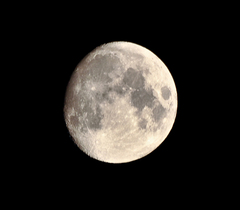 Moonlight