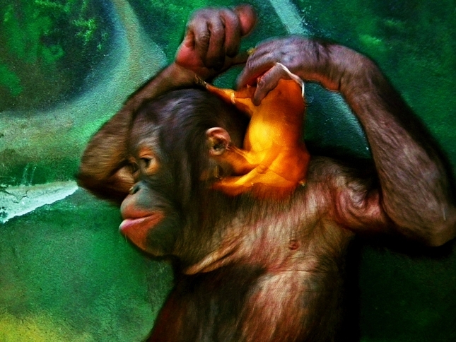 aha čo mám........