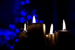 Veselé Vianoce......