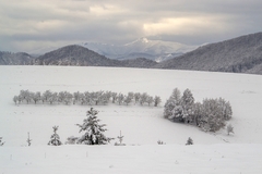 zimna 2015