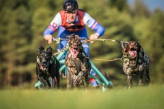 Valčianska dolina...