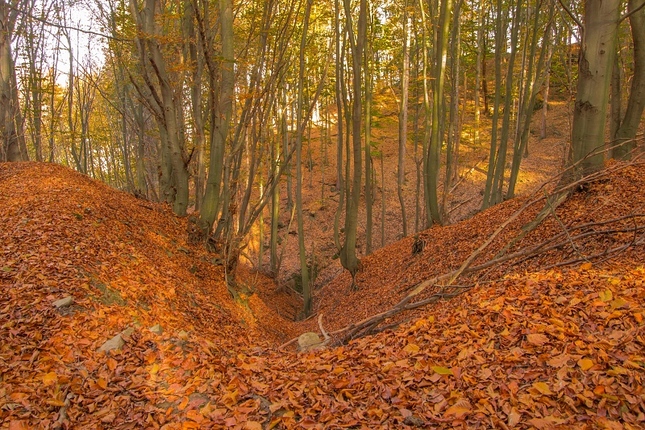 Jeseň