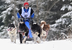 Poméééééé......