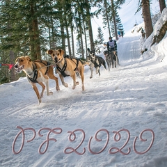 PF 2020