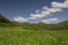 Podskalska,,,,
