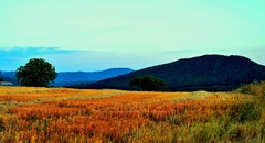 VEČERNÁ.