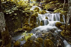 plitvicke jazera