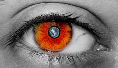 i can see your future