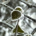Zimné hrátky prírody