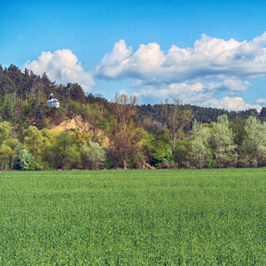 Jarná prechádzka (2)